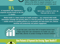 Patient Data Security is Serious Business: Says HIMSS13