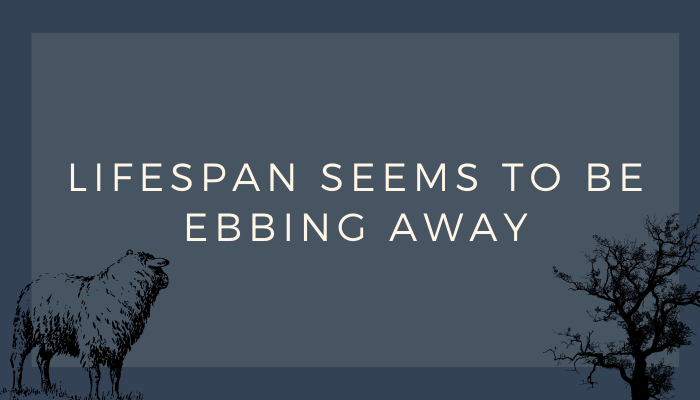 Lifespan Seems To Be Ebbing Away