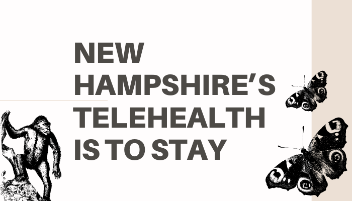 Telehealth Gains A Stronger Foothold In New Hampshire