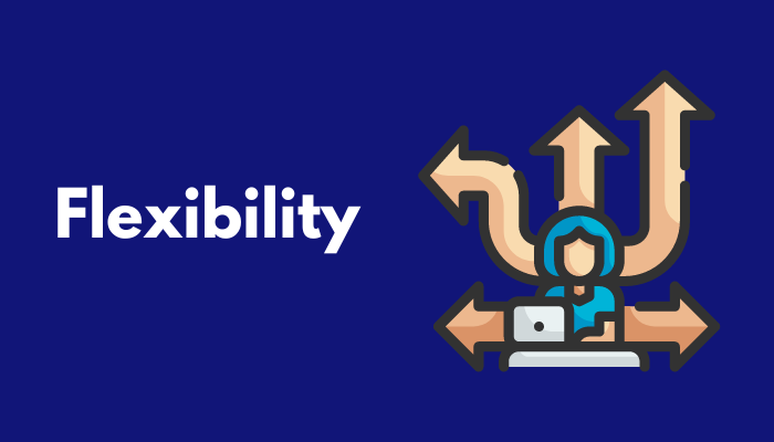 flexibility
